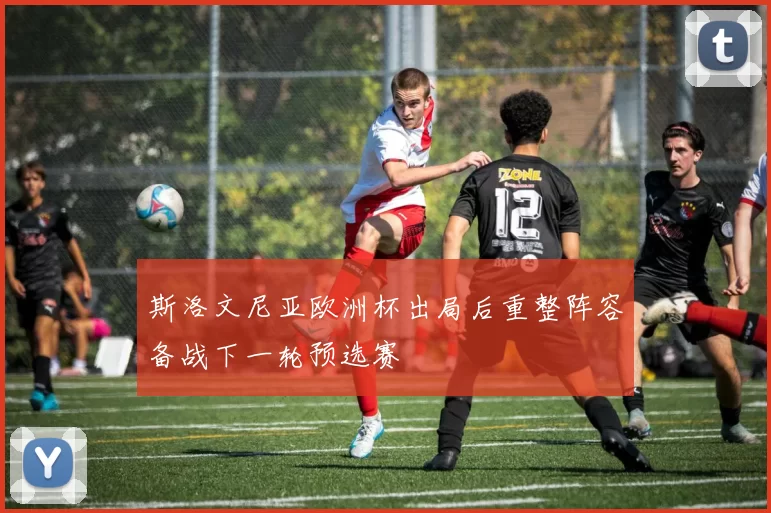 斯洛文尼亚欧洲杯出局后重整阵容备战下一轮预选赛