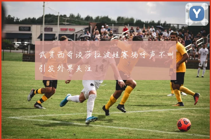 武贾西奇谈莎拉波娃赛场呼声不叫引发外界关注