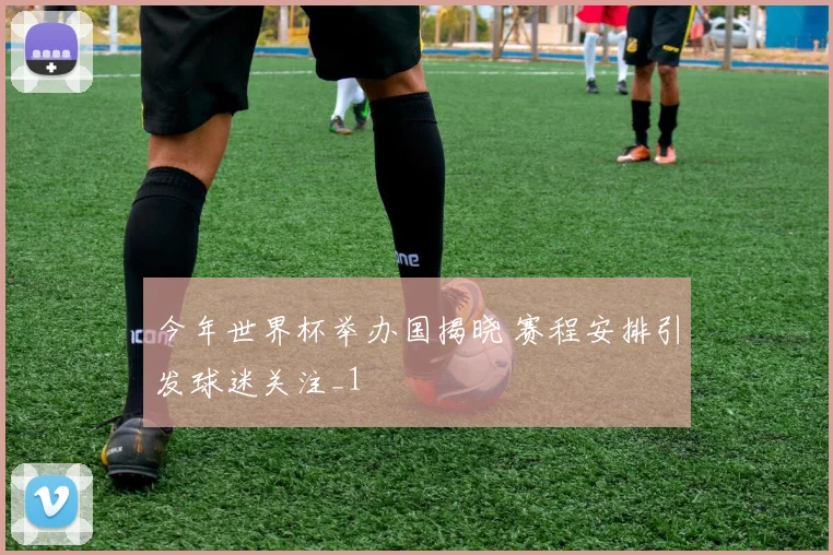 今年世界杯举办国揭晓 赛程安排引发球迷关注_1