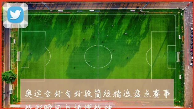奥运会好句好段简短精选盘点赛事精彩瞬间与拼搏精神