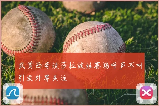 武贾西奇谈莎拉波娃赛场呼声不叫引发外界关注